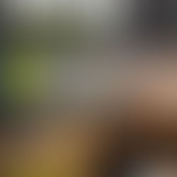 TRIATLÓN REGIONAL 2026 INDIVIDUAL Y POR EQUIPOS: EL LUNES 5 DE ENERO SE ABRIRÁ LA INSCRIPCIÓN Y LA PRUEBA SE DISPUTARÁ EL DOMINGO 18 DE ENERO