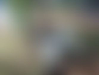 TRENQUE LAUQUEN: APARECIÓ BASURA Y TODO TIPO DE RESIDUOS TIRADOS A UN COSTADO DEL PUNTO LIMPIO DEL PARQUE FAVALORO. EL MUNICIPIO SOLICITA RESPONSABILIDAD Y SOLIDARIDAD