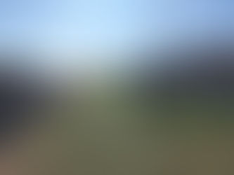 CAMPAÑA DE FORESTACIÓN DE VEREDA: EL MUNICIPIO SIGUE CON LA COLOCACIÓN DE ESPECIES EN DOMICILIOS DE LA CIUDAD