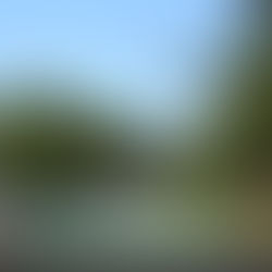 TRENQUE LAUQUEN: UN RELEVAMIENTO DE TEMPERATURAS EN LA CIUDAD REVELÓ LA IMPORTANCIA DE CONTAR CON ARBOLADO PÚBLICO