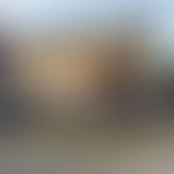 EL BARRIO ESPERANZA ENCENDIÓ SU ARBOLITO NAVIDEÑO HECHO CON BOTELLAS RECICLADAS