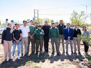 DONACIÓN DE ÁRBOLES PARA DAIREAUX