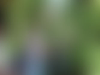 CURSO DE HUERTA Y JARDÍN AGROECOLÓGICO EN PELLEGRINI: CULTIVO DE CUCURBITÁCEAS Y FRUTALES