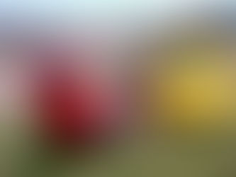 SE REALIZA LA AMPLIACIÓN DE RED DE GAS EN DAIREAUX