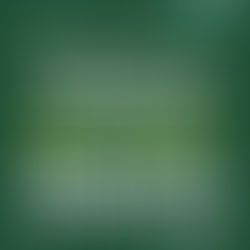 TRENQUE LAUQUEN: LOS DÍAS MIÉRCOLES 24 Y JUEVES 25 NO HABRÁ RECOLECCIÓN DE RESIDUOS