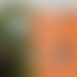 CELEBRACIÓN POR EL 124° ANIVERSARIO DE ARROYO VENADO 