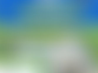 SALLIQUELÓ: ESTE MARTES HABRÁ VENTA ESPECIAL DE VERDURAS LOCALES Y SORTEO DE FIN DE AÑO