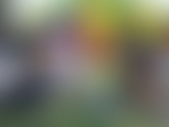 30 DE AGOSTO: JORNADA DE ACTIVIDADES EN EL DIA INTERNACIONAL DE LAS PERSONAS CON DISCAPACIDAD