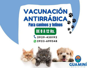 GUAMINÍ: COMENZÓ UNA NUEVA CAMPAÑA DE VACUNACIÓN ANTIRRÁBICA EN TODO EL DISTRITO