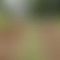 PEHUAJÓ: COMENZÓ LA ACTIVIDAD EN LA NUEVA CANCHA DE TEJO EN EL HOGAR DE ANCIANOS 