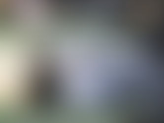 JORNADA DE LIMPIEZA EN EL BARRIO PARQUE/CENTENARIO, ESTE SÁBADO (27)