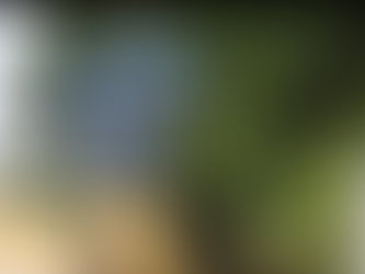 PEHUAJÓ: SE REALIZAN TRABAJOS DE LIMPIEZA EN BOCAS DE TORMENTA DE LA ESQUINA DE ZANNI Y ZUVIRÍA