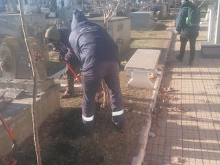 PEHUAJÓ: EL ÁREA DE ESPACIOS VERDES REPONE LA FORESTACIÓN DEL CEMENTERIO MUNICIPAL