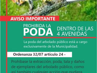 PEHUAJÓ: EL MUNICIPIO RECUERDA LA PROHIBICIÓN DE PODAS NO AUTORIDAZAS DENTRO DE LAS CUATRO AVENIDAS