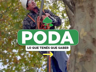 TRES LOMAS: EL MUNICIPIO RECUERDA LA VIGENCIA DE LA ORDENANZA PARA INTERVENCIÓN DE ÁRBOLES