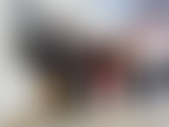 LA DIRECTORA DE BOMBEROS VOLUNTARIOS DEL MINISTERIO DE SEGURIDAD DE LA NACIÓN, PRESENTE EN CARLOS TE