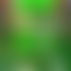 TRENQUE LAUQUEN: LA SEGUNDA EDICIÓN DE LA “CARRERA VERDE” SERÁ EL DOMINGO 10 DE MAYO EN EL MES DEL RECICLAJE