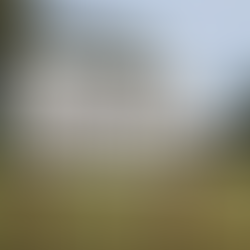 EL VIVERO DE GIRODÍAS CUMPLE SU PRIMER AÑO