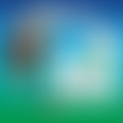 PEHUAJÓ: ESTE VIERNES CONTINUARÁN LOS CORTES DE CALLE POR TRABAJOS DE PODA EN EL MICROCENTRO