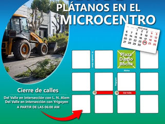 PEHUAJÓ: ESTE VIERNES CONTINUARÁN LOS CORTES DE CALLE POR TRABAJOS DE PODA EN EL MICROCENTRO