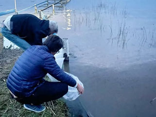 DAIREAUX: 60.000 ALEVINOS PARA EL CLUB DE PESCA LA GLORIETA