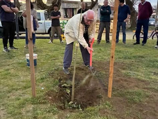 EL MUNICIPIO JUNTO A LA COMUNIDAD DE LOS BARRIOS INDIO TROMPA Y ESPERANZA INCORPORAN ESPECIES NATIVAS EN SUS ESPACIOS VERDES