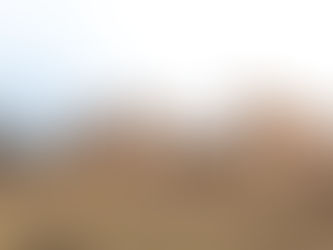 AVANZA LA CONSTRUCCIÓN DE UNA SALA DE FAENA MULTIESPECIE EN CARLOS TEJEDOR