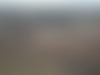 PELLEGRINI: SE REALIZAN DISTINTOS TRABAJOS EN LA LOCALIDAD DE DE BARY