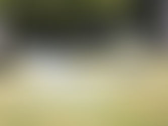 TRES LOMAS: VOLVIÓ A PONERSE EN MARCHA EL SISTEMA DE RIEGO EN LA PLAZA PRINCIPAL