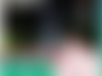 PEHUAJÓ: EL LUNES 8 SE ENCIENDE EL ARBOLITO EN LA PLAZA PRINCIPAL