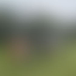 MÁS INCLUSIÓN Y BIENESTAR A TRAVÉS DE LA ESCUELA DE EQUINOTERAPIA EN CASBAS Y GUAMINÍ