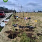 BERUTI: SE REALIZÓ UNA JORNADA DE FORESTACIÓN EN LA CALLE GUAZZONE Y EN EL ACCESO A LA LOCALIDAD