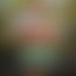 30 DE AGOSTO: SE RECUERDA QUE, POR ORDENANZA, ESTÁ PROHIBIDA LA PODA DEL ARBOLADO PÚBLICO