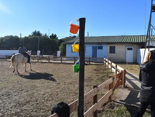 GUAMINÍ: INICIA UN NUEVO CICLO EN LA ESCUELA MUNICIPAL DE EQUINOTERAPIA