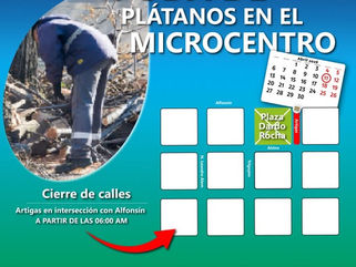 PEHUAJÓ: CORTES DE CALLES EL DIA SÁBADO 11 POR PODA DE PLÁTANOS EN EL MICROCENTRO