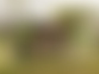 SE REALIZAN TRABAJOS DE MEJORA Y REMODELACIÓN EN LA UNIDAD PRODUCTIVA HORTÍCOLA “EL GANCHO” DE BERUTI