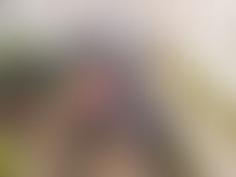 30 DE AGOSTO: ESTUDIANTES DE LA ESCUELA DE EDUCACIÓN ESPECIAL REALIZAN PRÁCTICAS EN LA HUERTA "EL TRÉBOL"