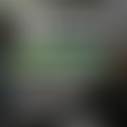 30 DE AGOSTO: ANÁLISIS PREVENTIVO, CLAVE PARA EVITAR LA TRIQUINOSIS EN CHACINADOS CASEROS