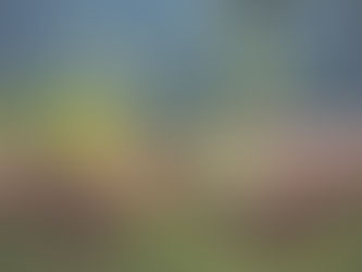 BUENAS NOTICIAS PARA GUAMINÍ Y LA LUCHA CONTRA EL CAMBIO CLIMÁTICO