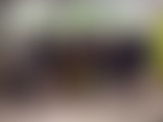 GUAMINÍ PRESENTE EN EL CONGRESO AGENDA AMBIENTAL LATINOAMERICANA