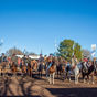 CON GRAN NIVEL Y CONVOCATORIA, SE REALIZÓ LA PRUEBA DE DOMA DE CABALLOS DE POLO EN LA SOCIEDAD RURAL ORGANIZADA POR CABAÑA CRÍA EL REVOLEO