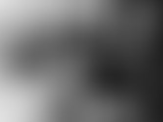 PELLEGRINI: REUNIÓN EN SENASA PARA LA PREVENCIÓN DE ENCEFALOMIELITIS EQUINA Y VACUNACIÓN DE CABALLOS