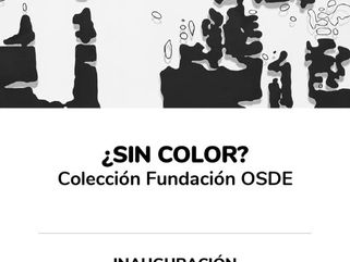 LA MUESTRA “¿SIN COLOR?” DE LA FUNDACIÓN OSDE QUEDARÁ INAUGURADA ESTA TARDE EN EL MUMAV