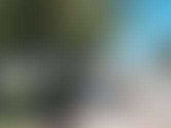 DAIREUAX: TRABAJOS DE ILUMINACIÓN EN ACCESO CARLES