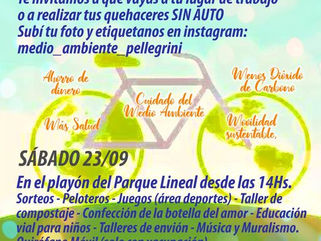 DÍA MUNDIAL SIN AUTO: ACTIVIDADES EN EL MUNICIPIO DE PELLEGRINI
