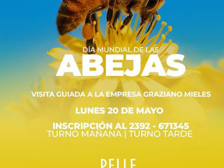 PELLEGRINI: VISITA GUIADA EN EL DÍA MUNDIAL DE LAS ABEJAS