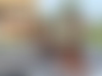 CIERRE DE LA COLONIA MUNICIPAL DE VERANO DE CARLOS TEJEDOR