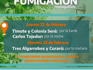 TAREAS DE FUMIGACIÓN CONTRA MOSQUITOS EN EL DISTRITO DE CARLOS TEJEDOR