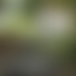 NUEVA ECO FERIA EN 30 DE AGOSTO, ESTE DOMINGO 12 EN PLAZA SAN MARTÍN