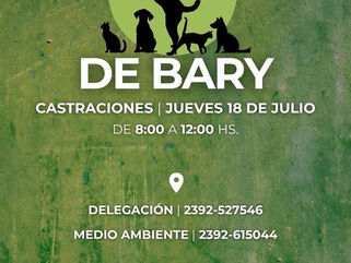 PELLEGRINI: JORNADA DE CASTRACIÓN DE MASCOTAS EN DE BARY, EL JUEVES 18 DE JULIO